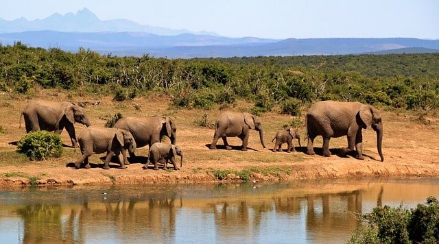 Deciding on the Best Time to Go. Choosing the right time for your tailor-made experience holiday is key to having an unforgettable safari adventure. Seasons can make a big difference in what you see and how you experience the wild. Here's a guide to help you decide the best time to pack your bags and set off on your journey.