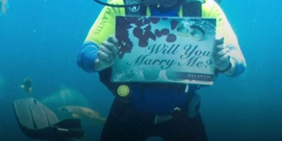 The Ultimate Romantic Touch: Proposals from the Deep. For couples looking to create a once-in-a-lifetime moment, Ossiano offers more than just impeccable service and fantastic food. Picture this: as you enjoy your Michelin-star meal, a diver emerges in the water with a romantic message in the aquarium, or even gets down on one knee to propose.