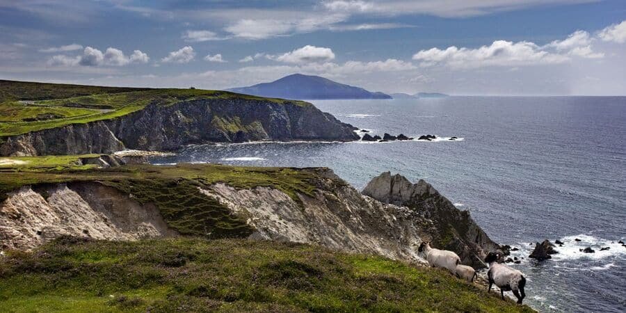 Scotland's rugged coastline is where the drama of nature meets the height of comfort. For luxury travelers, the sweep of the Atlantic adds a touch of wonder to high-end getaways. Think ocean breezes, private beaches, and the soothing sound of waves right outside your window. Whether your dream is a romantic escape perched on dramatic cliffs or a family celebration in a chic beachfront villa, these coastal luxury cottages give you front-row seats to Scotland’s wild charm.