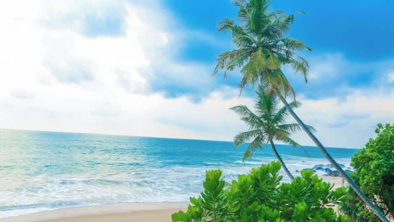 Sri Lanka works best when I move around, offering a slower pace that's ideal for solo travelers looking for a mindful escape. That is part of the appeal. I can mix a beach resort, a tea country retreat, and a wildlife stay without turning the whole trip into a budget problem.